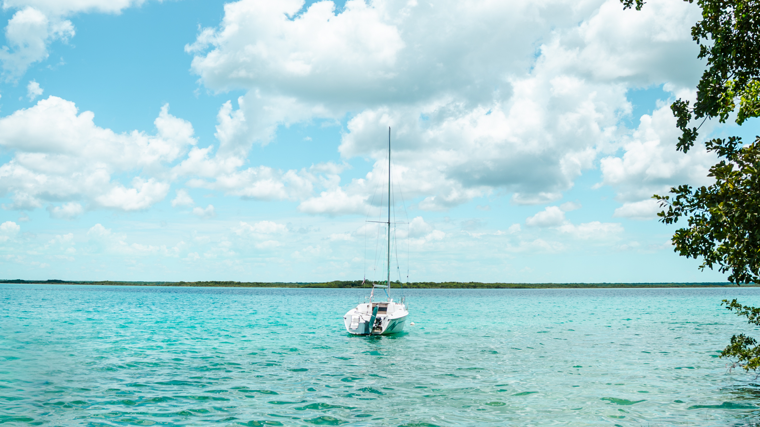 velero arriba